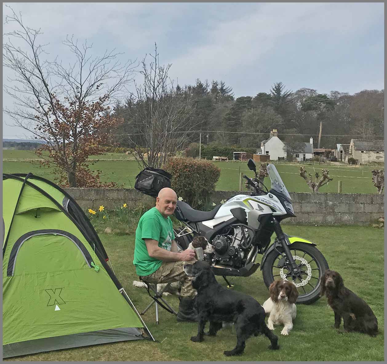 Local-campsite2.jpg