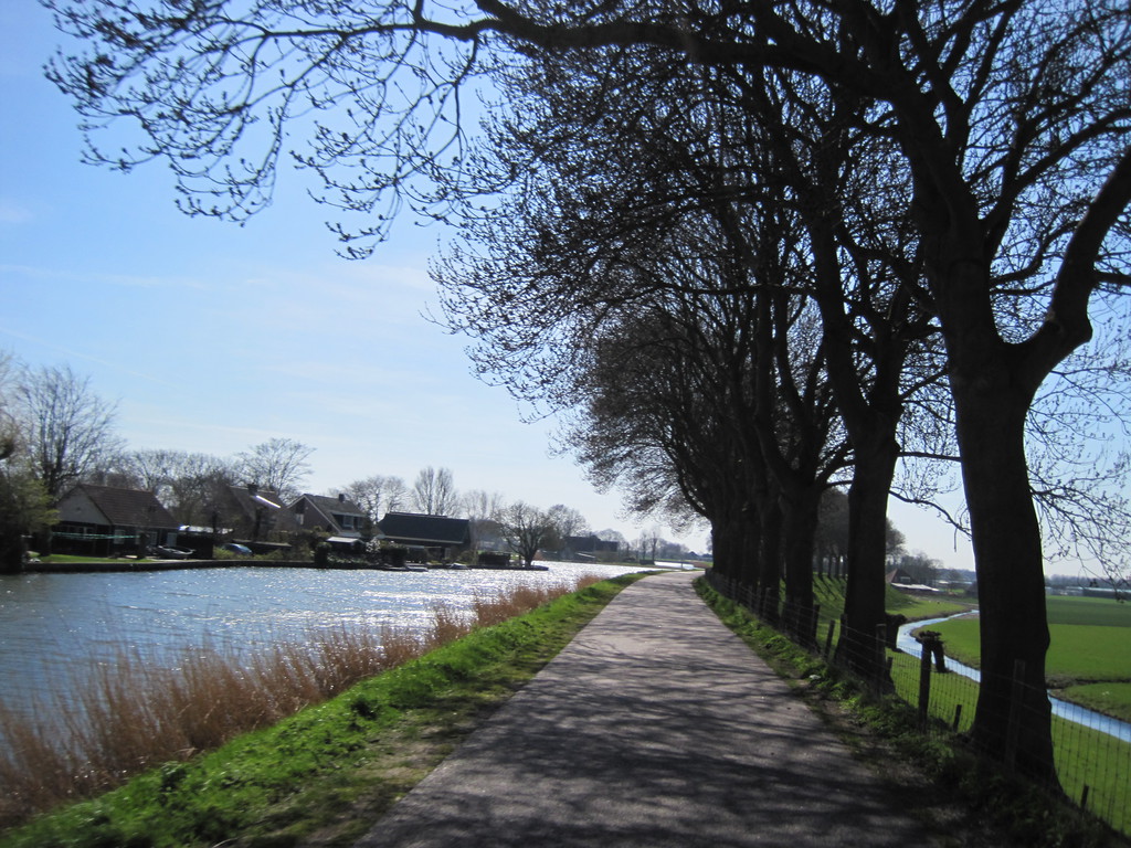 dijk-purmerend2.jpg