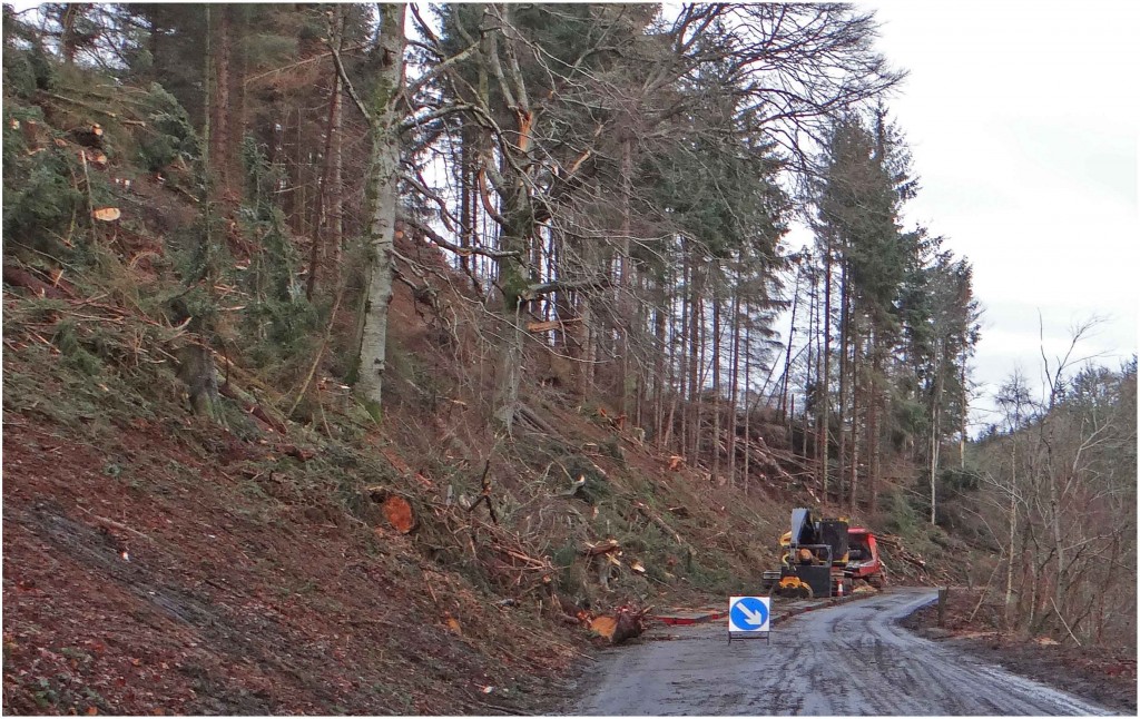 3-121221-Kildrummy-Bends.jpg