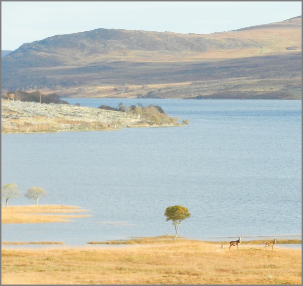2-Loch-Naver-Jaggyheeds.jpg