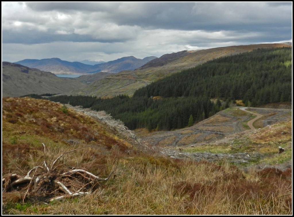 Distant-Skye.jpg