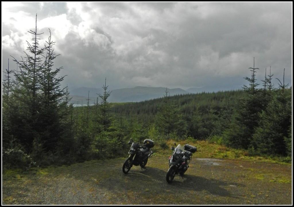 6-021021-View-to-Mull-Fm-Tom-Mor-forest.jpg