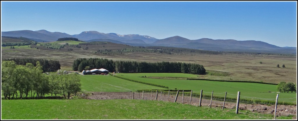 CairngormSnow-040622.jpg