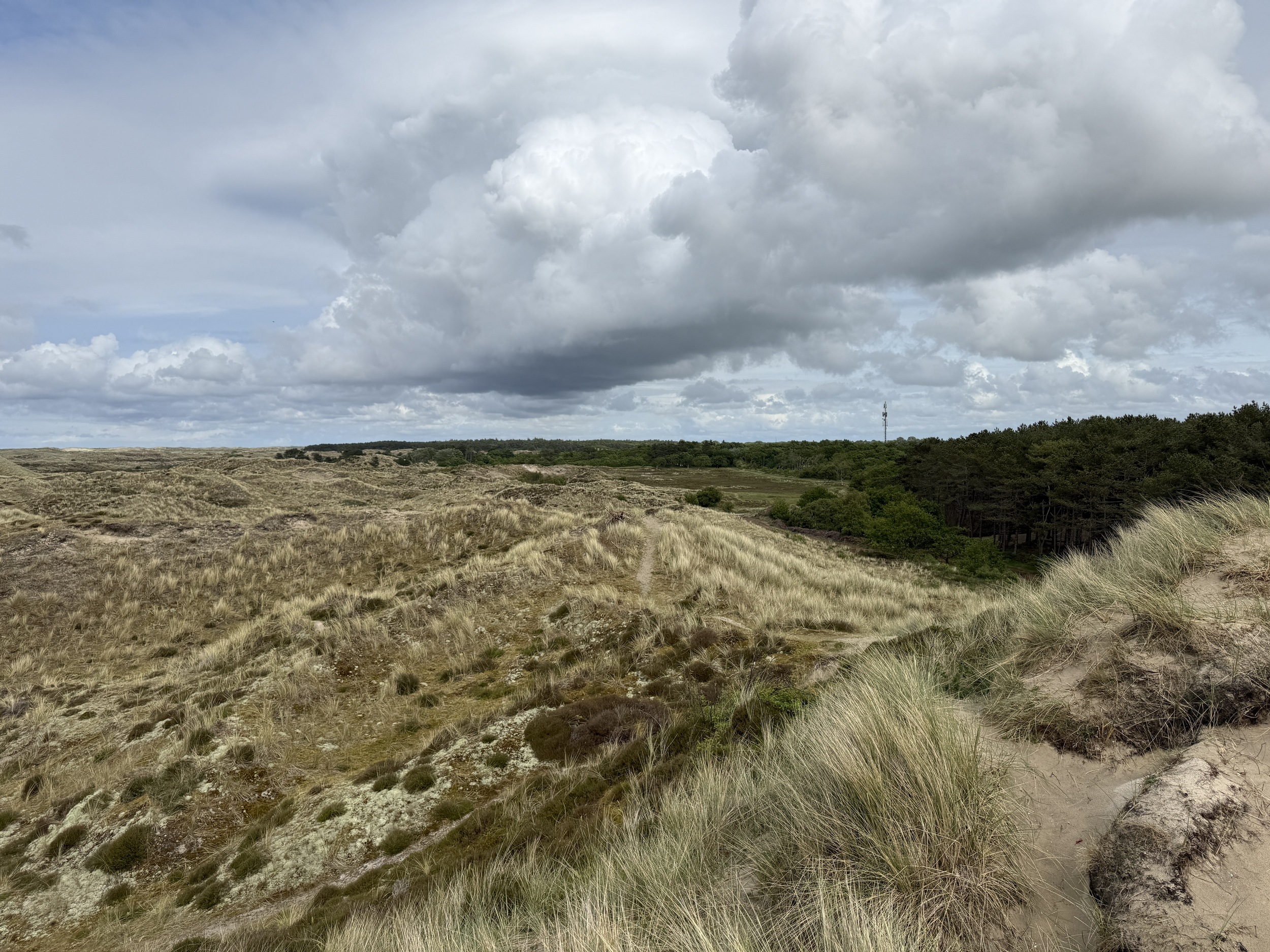 terschelling-duinen3.jpg