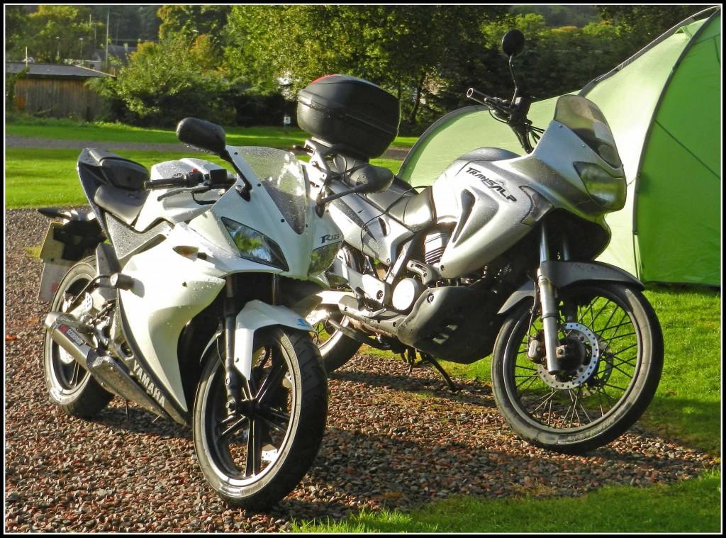 11-021021-Jackbandit.jpg
