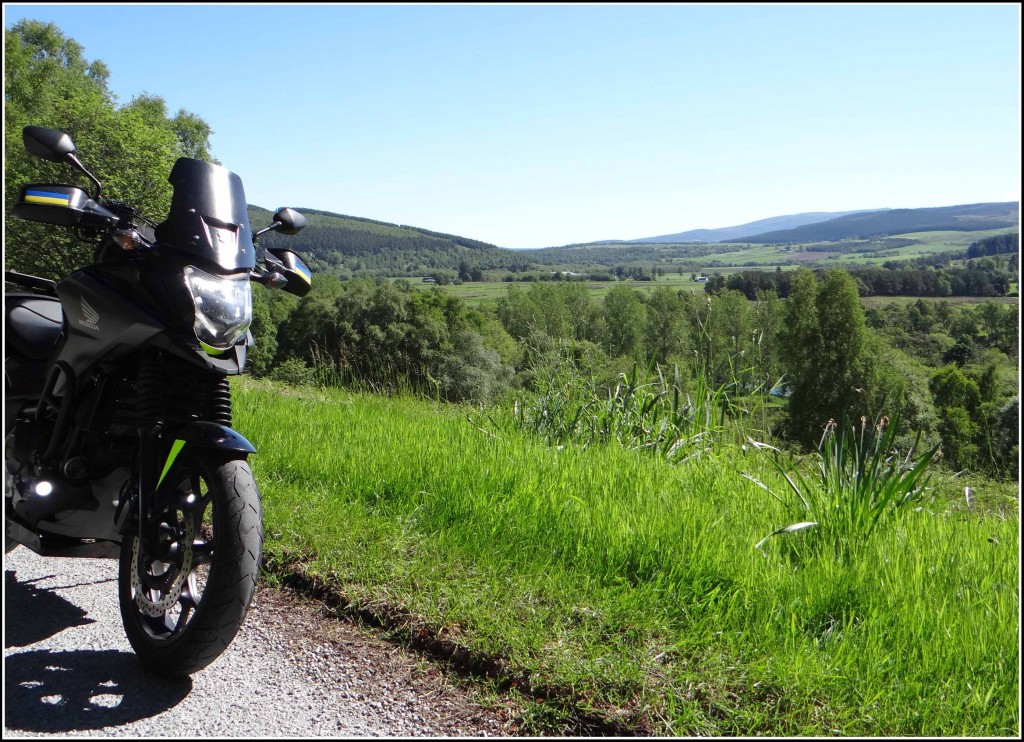 SpeysideInGreen-040622.jpg